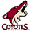 Coyote de Pheonix Coyotes_